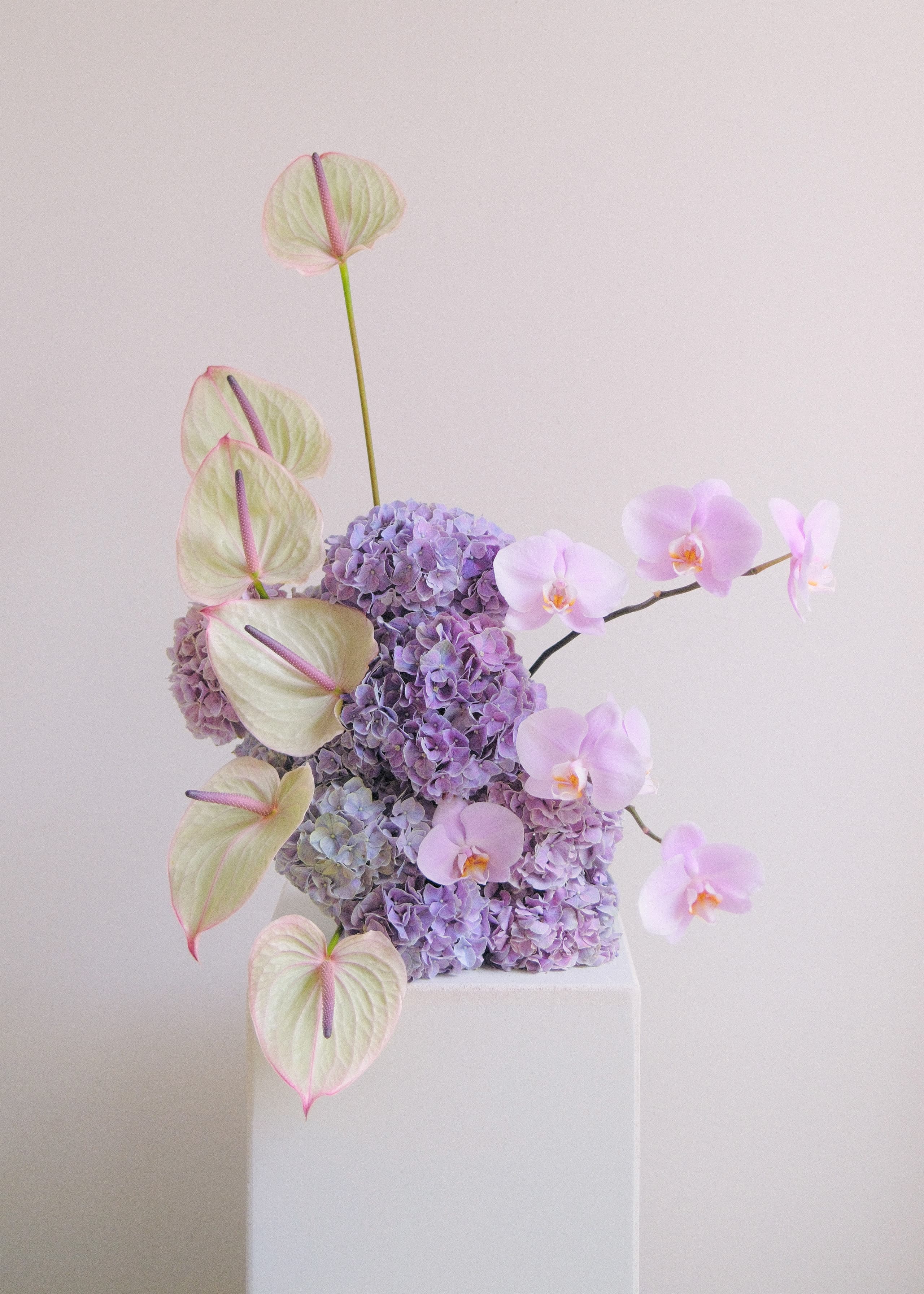 deutsche beschreibung